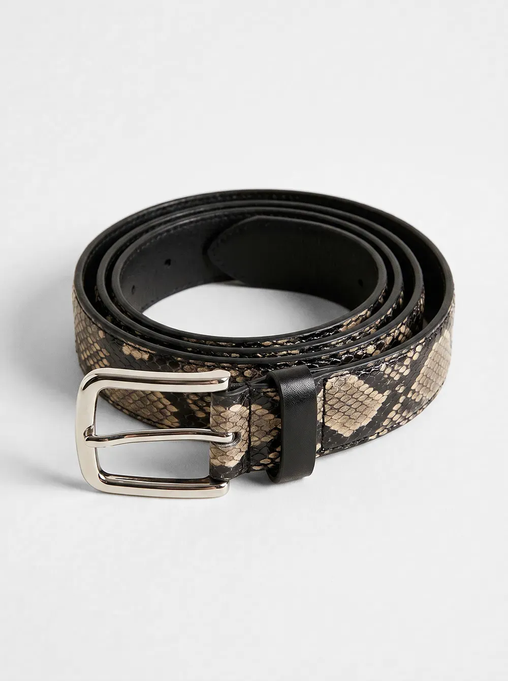 Gürtel Snake – Vorderansicht