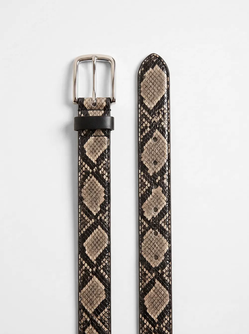Gürtel Snake – gerollt